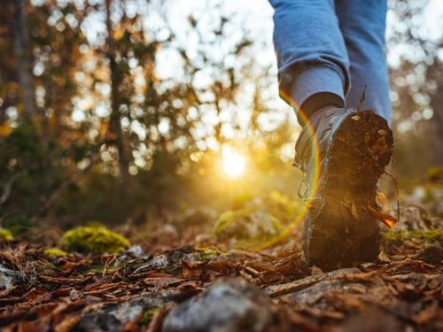 Best Stylish Walking Shoes for Comfort Lovers