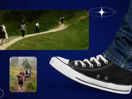 Best Stylish Walking Shoes for Comfort Lovers